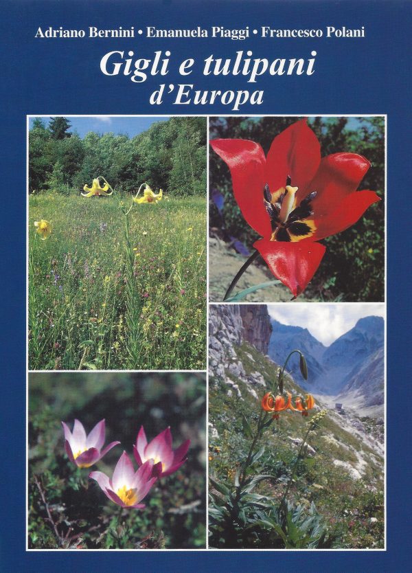 Gigli e tulipani d’Europa
