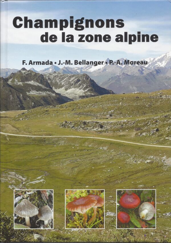 Champignons_de_la_zone_alpine